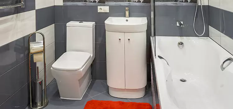 Hansgrohe Shaving Mirror West Babylon